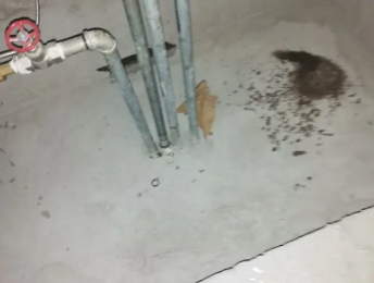 高碑店卫生间测漏水价格明细